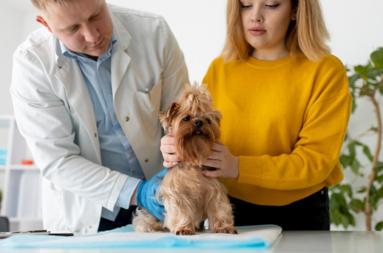 Pet Wellness Exams: Enhancing Animal Health Services for Your Furry Friend